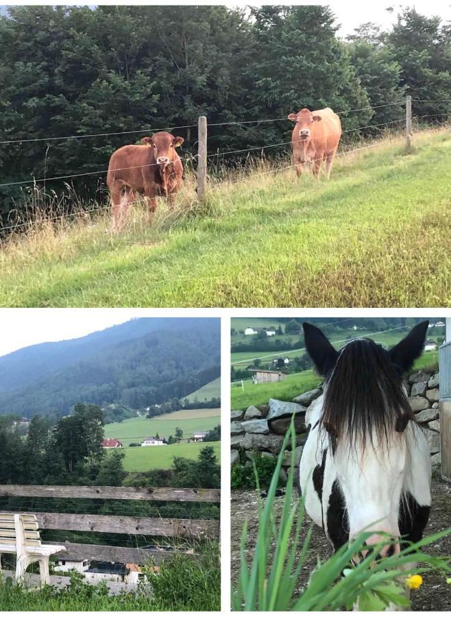 Ferienhaus Am Traunsee Mit Bergsicht Traunkirchen Exterior foto